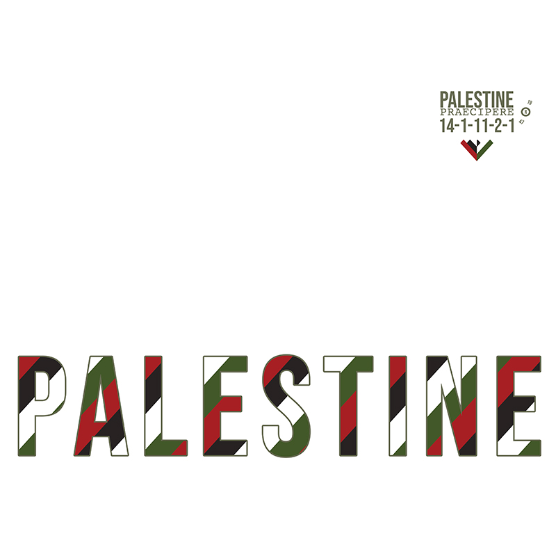 PalestineStripe Hoodie